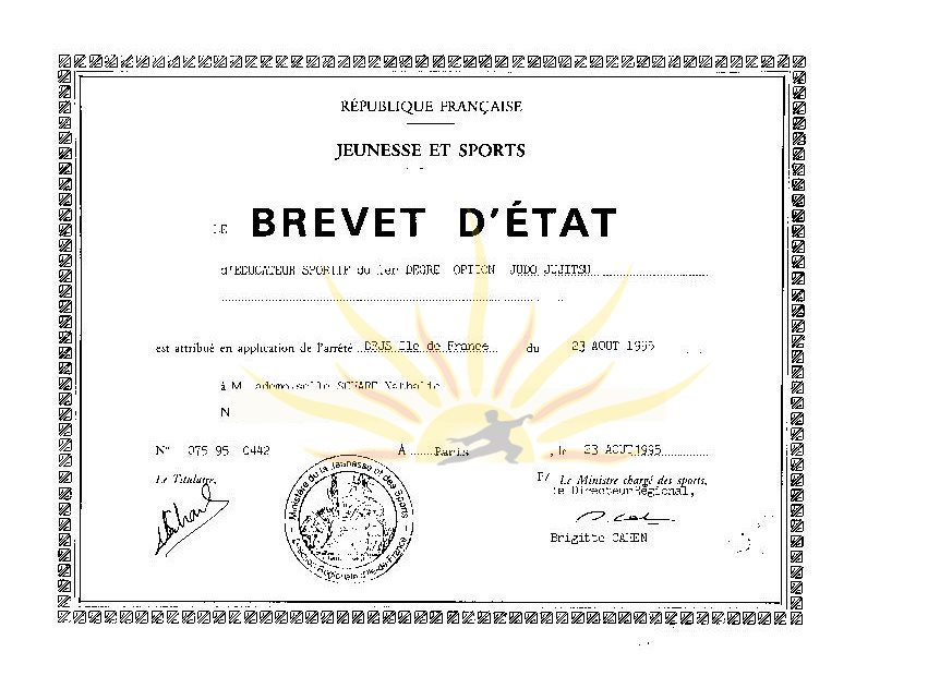 Brevet d'État éducateur sportif judo ju-jitsu